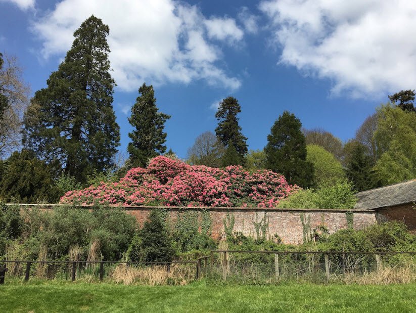 Escot Park, , United Kingdom